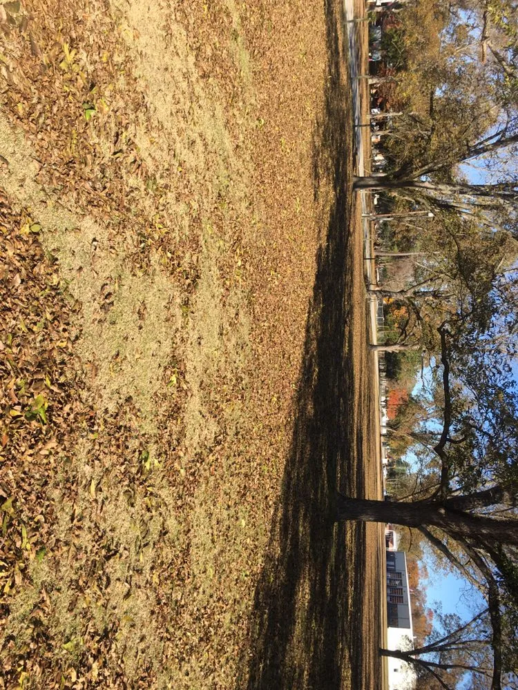 Reliable lawn mowing service in Fayetteville, NC by B's Lawn Care