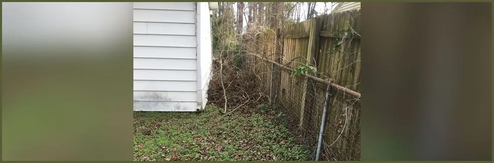 Top-rated lawn mowing service for beautiful yards across Fayetteville, NC - B's Lawn Care