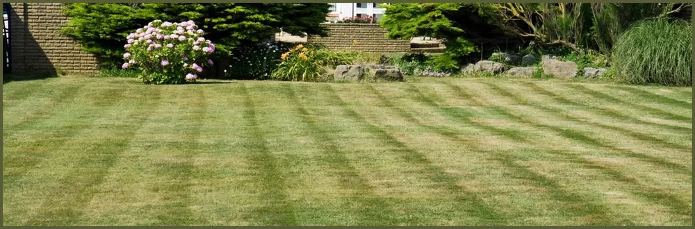 Local yard maintenance experts serving Fayetteville, NC - B's Lawn Care