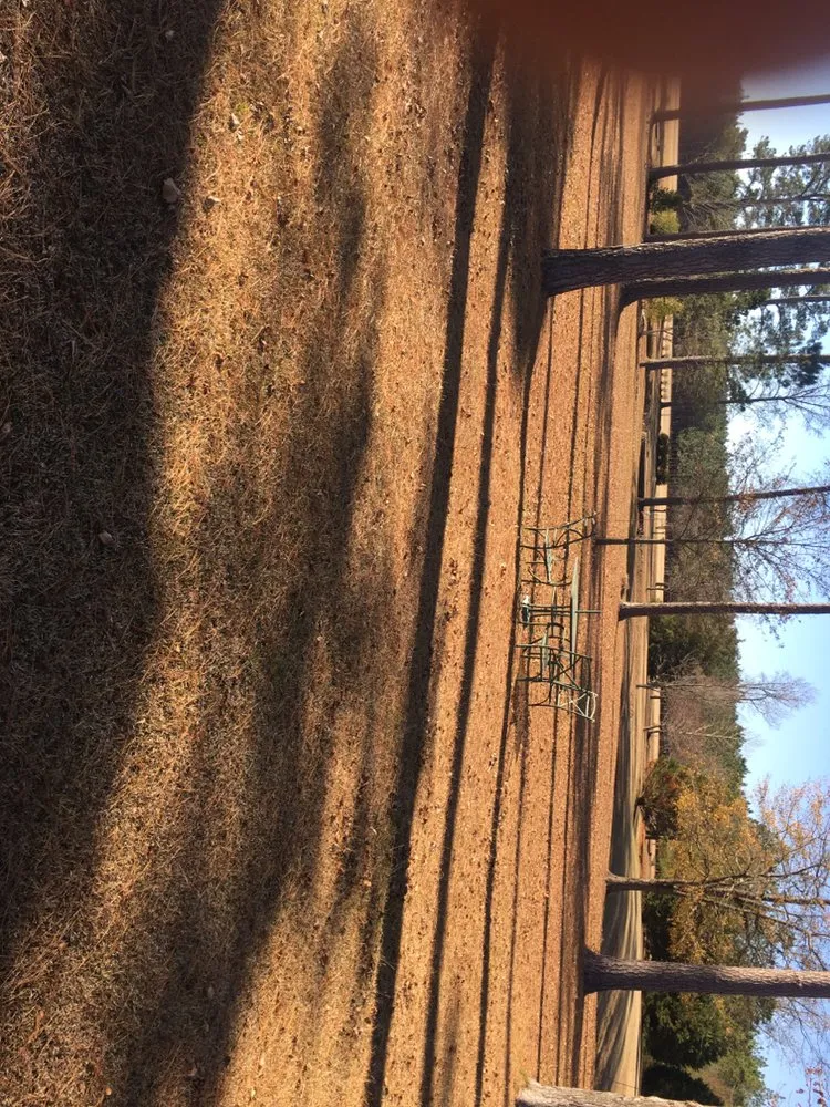 Trusted landscaping services for year-round maintenance across Fayetteville, NC - B's Lawn Care