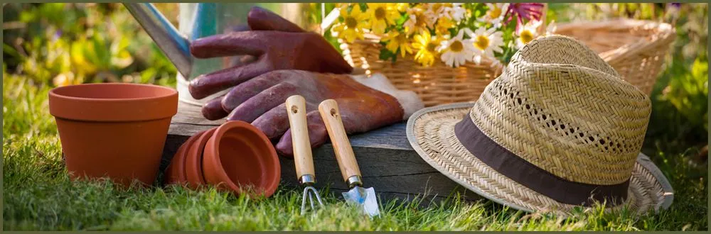 Affordable outdoor landscaping experts serving Fayetteville, NC - B's Lawn Care