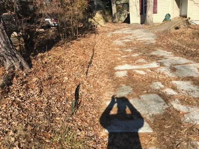 Trusted residential landscaping near you across Fayetteville, NC - B's Lawn Care