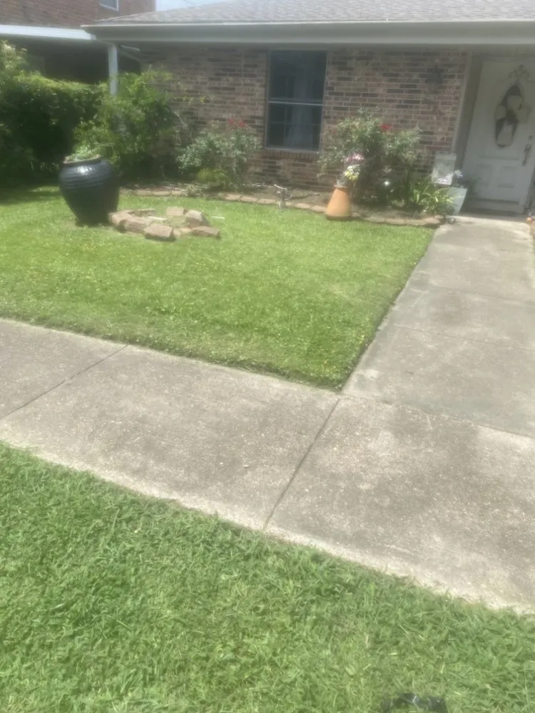 Top-rated yard cleanup service for residential properties in Metairie, LA by Bs Lawn Care