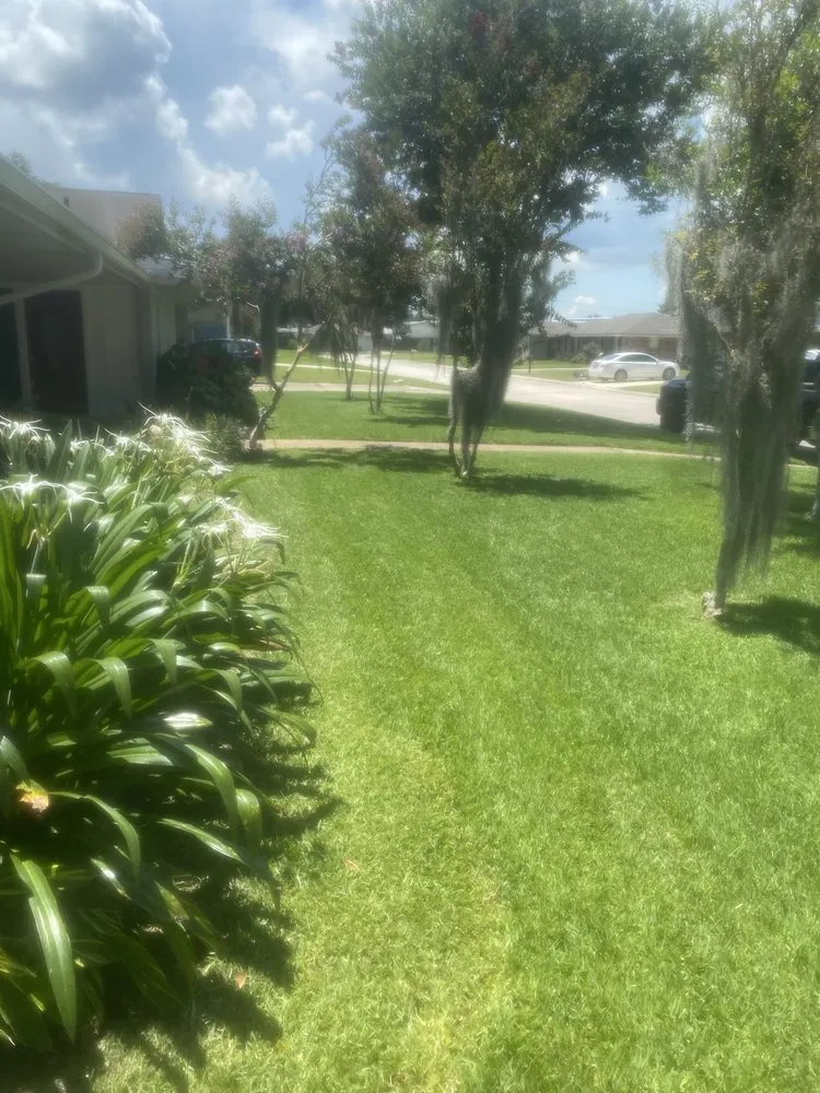 Affordable residential landscaping in Metairie, LA by Bs Lawn Care