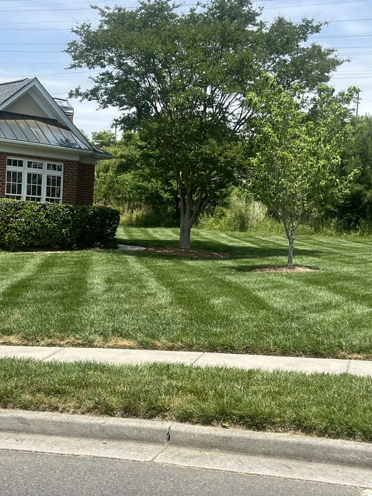 Top-rated yard maintenance in Rock Hill, SC - B&S Lawn Care