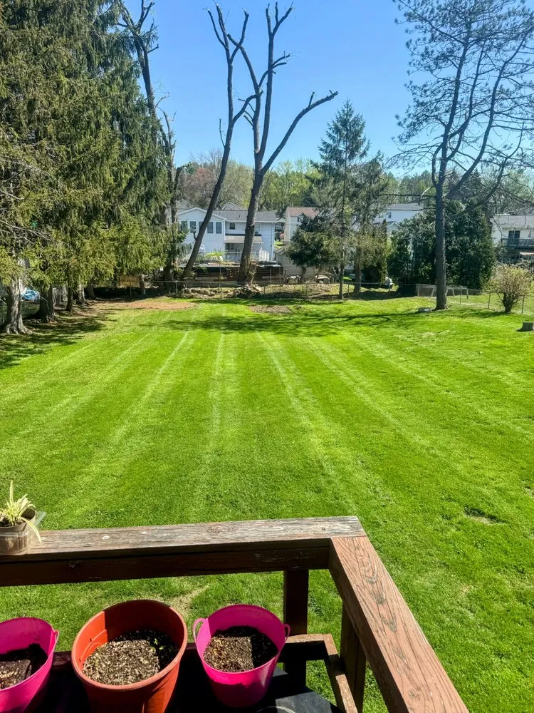Trusted lawn care service for year-round maintenance in Jessup, PA by B’s Lawn Maintenance