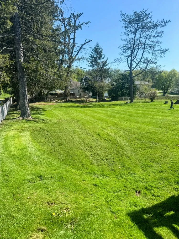 Trusted garden landscaping for year-round maintenance in Jessup, PA by B’s Lawn Maintenance