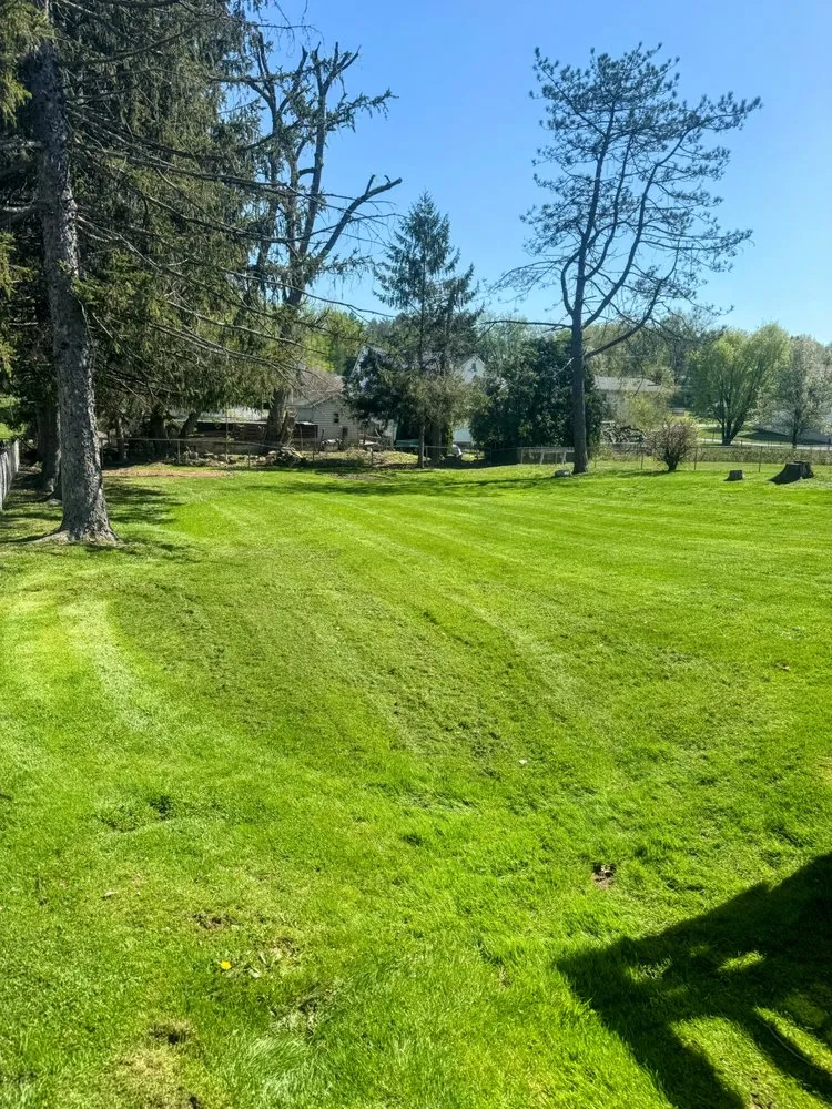 Expert outdoor landscaping in Jessup, PA - B’s Lawn Maintenance
