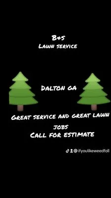 B&S Lawn service Logo