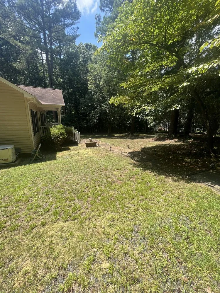 Professional yard maintenance for year-round maintenance across Pittsboro, NC - B’s Lawn Services