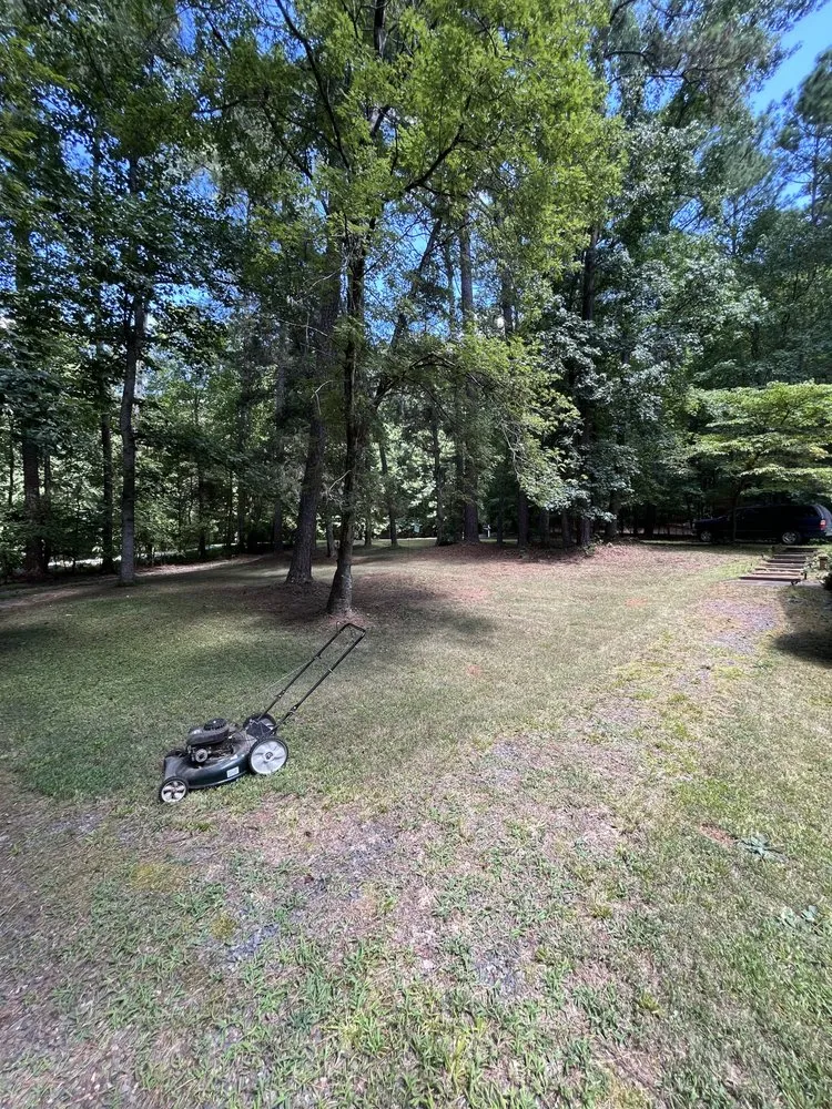 Trusted landscape installation for beautiful yards across Pittsboro, NC - B’s Lawn Services