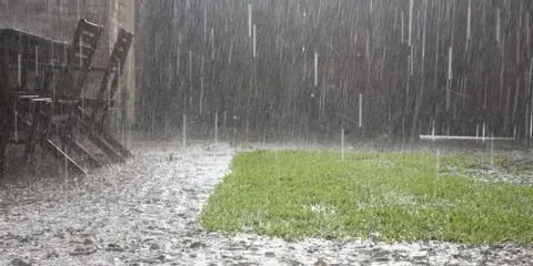 B's Montana Gardens Logo