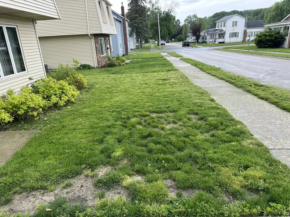 Custom landscaping services in Clinton, IA by B’s mowing