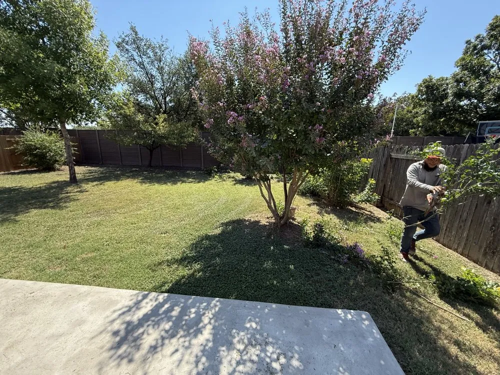 Custom residential landscaping for outdoor upgrades in Manor, TX by BS Mowing