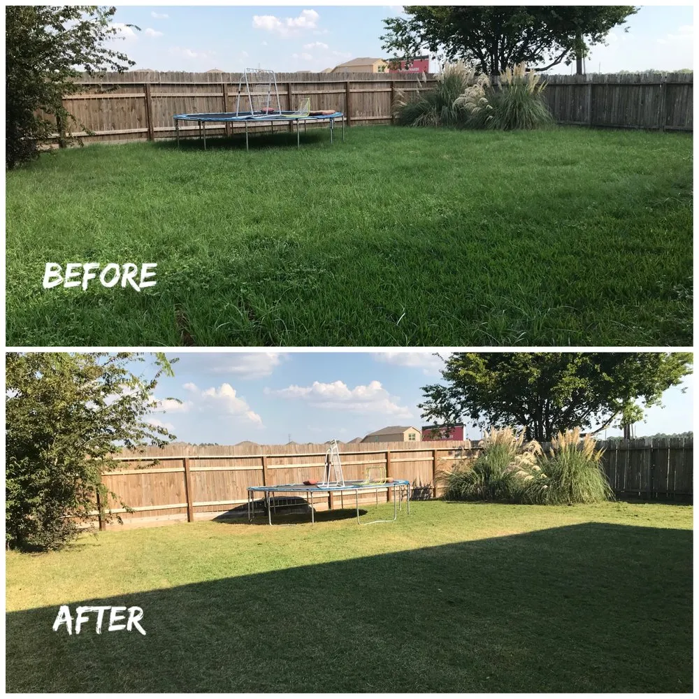 Reliable landscaping services in San Antonio, TX - BS Outlawz