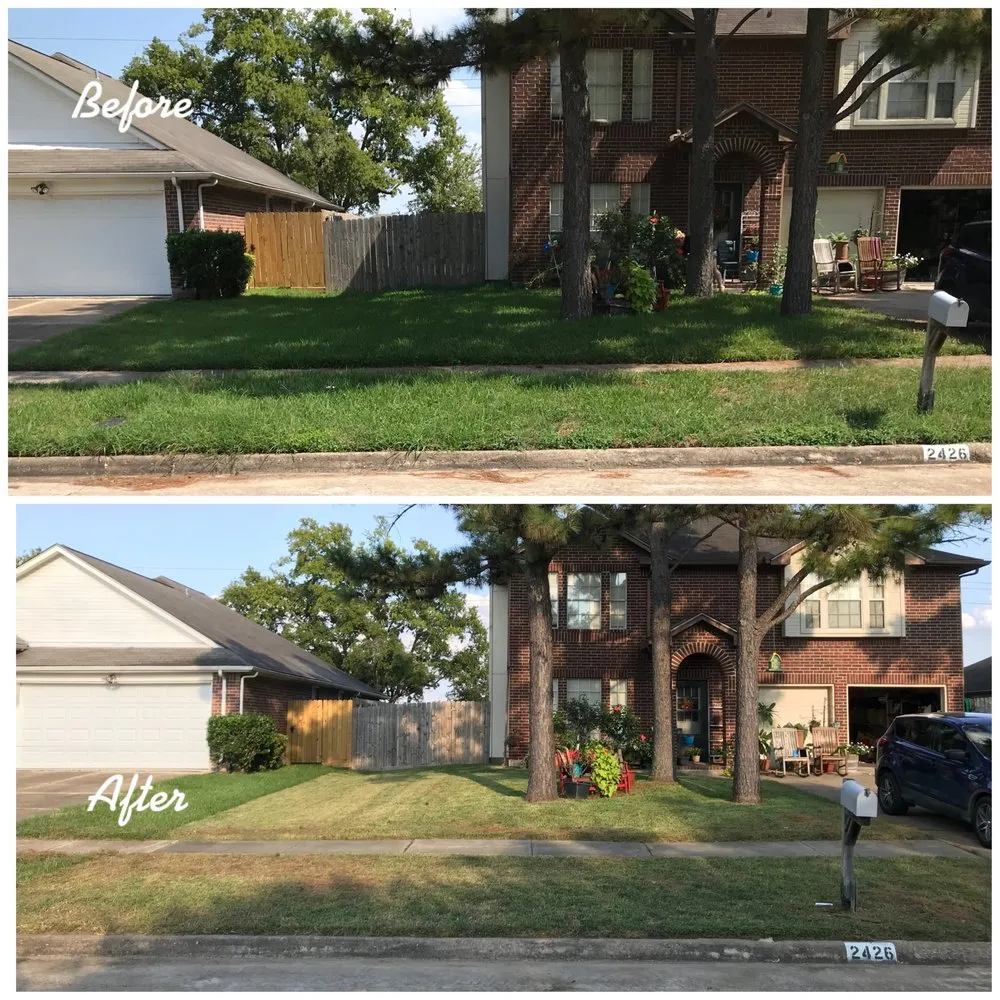 Expert yard maintenance for homes in San Antonio, TX by BS Outlawz