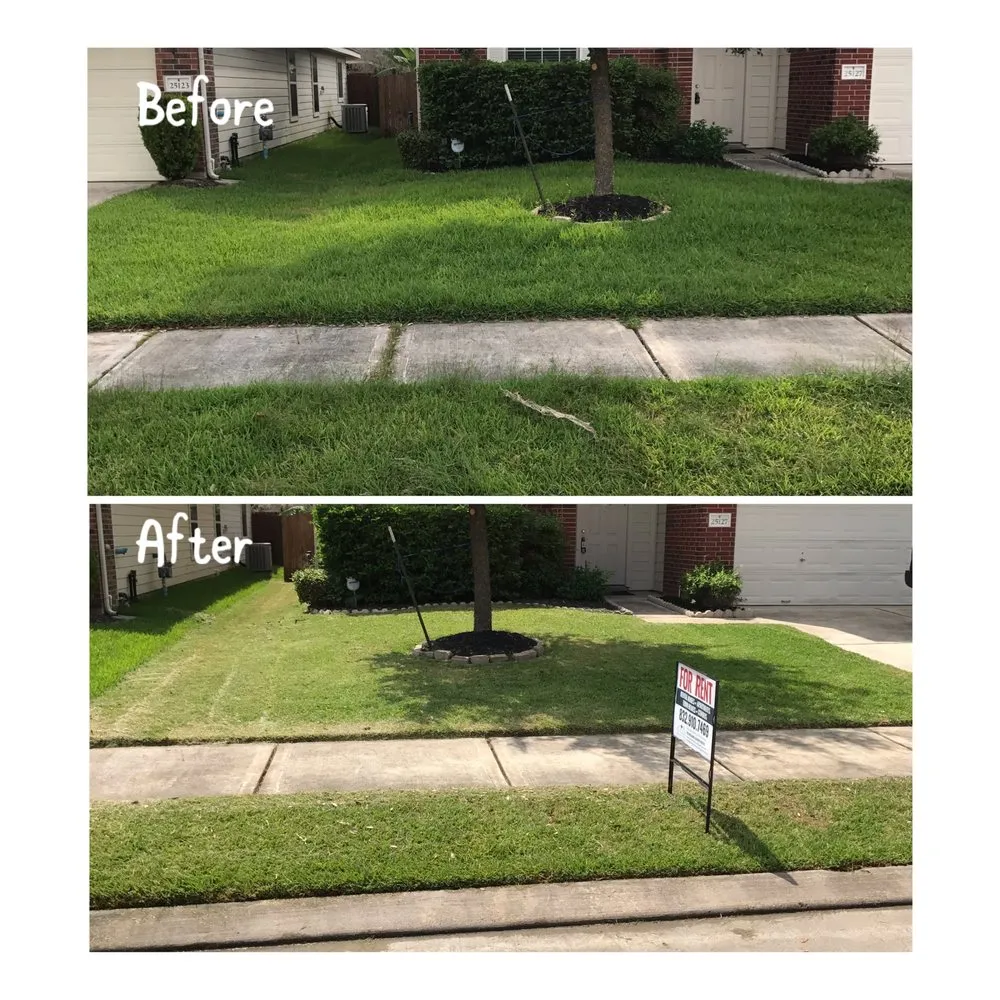 Custom landscape installation for outdoor upgrades across San Antonio, TX - BS Outlawz