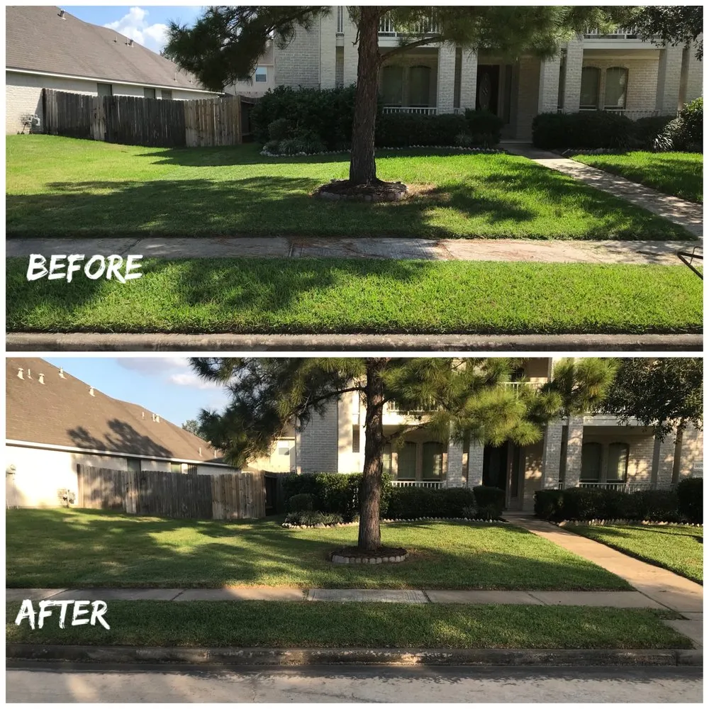 Reliable outdoor landscaping for residential properties across San Antonio, TX - BS Outlawz
