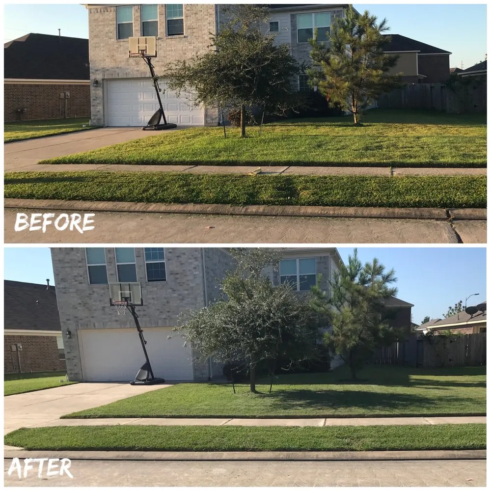 Expert landscape design in San Antonio, TX by BS Outlawz