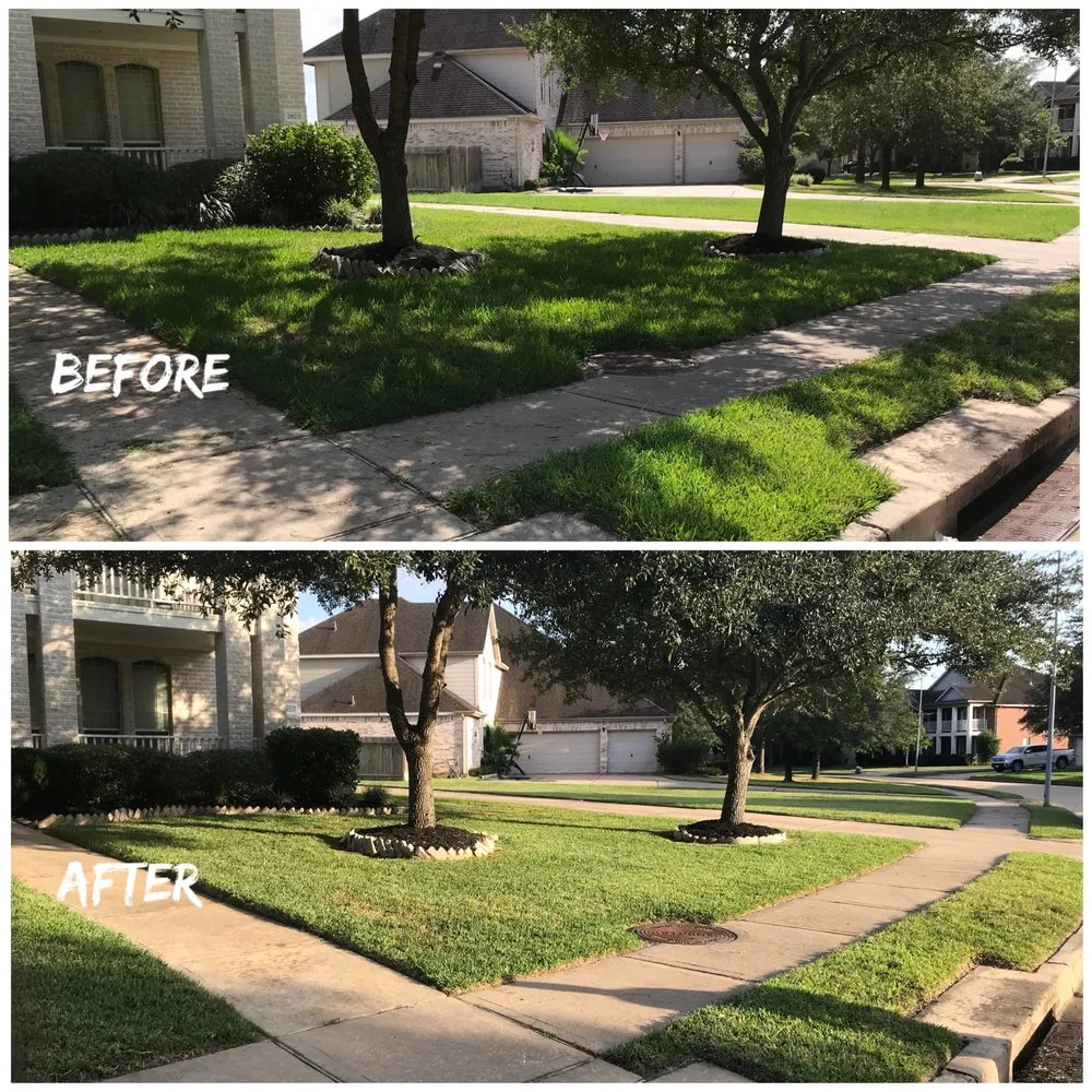 Affordable outdoor landscaping in San Antonio, TX by BS Outlawz