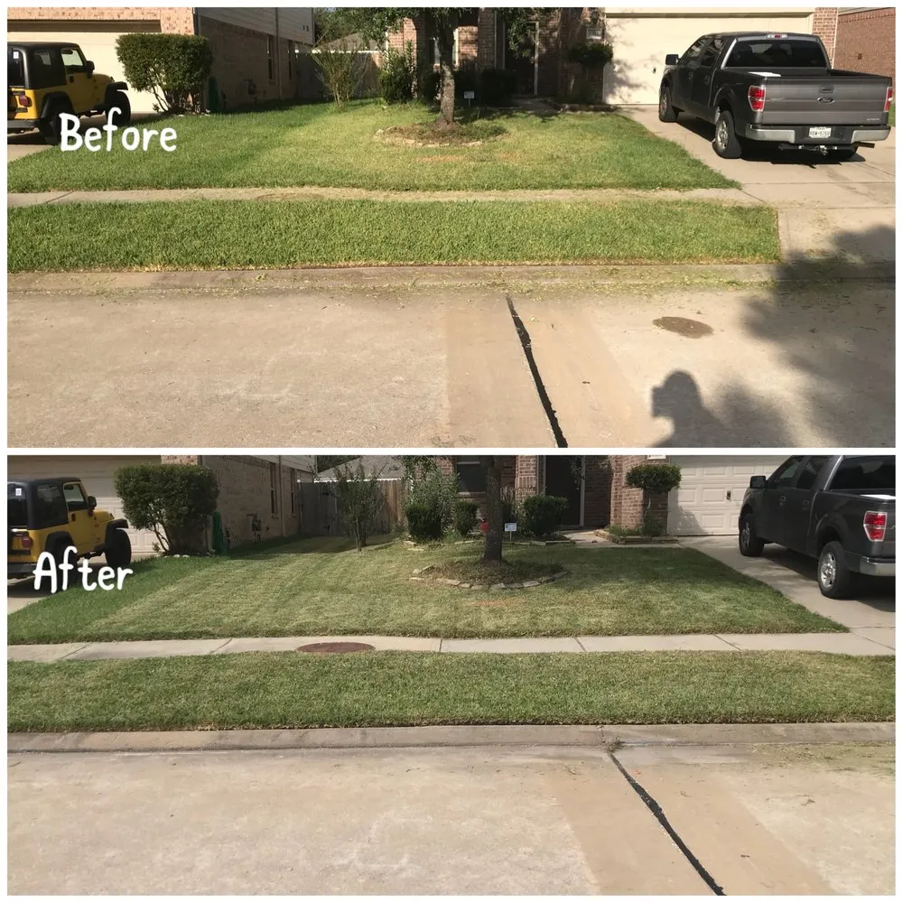Top-rated lawn care service for homes across San Antonio, TX - BS Outlawz