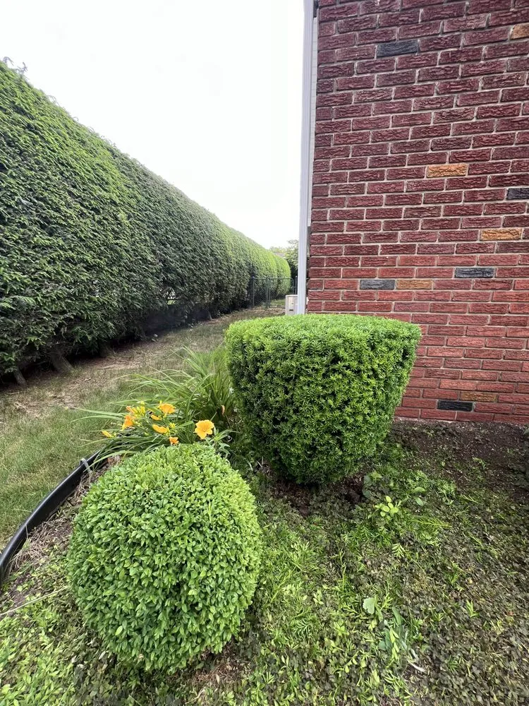 Local lawn care service in Harding, PA by B’s Services