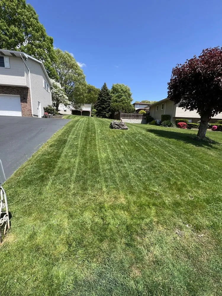 Affordable yard cleanup service in Harding, PA - B’s Services