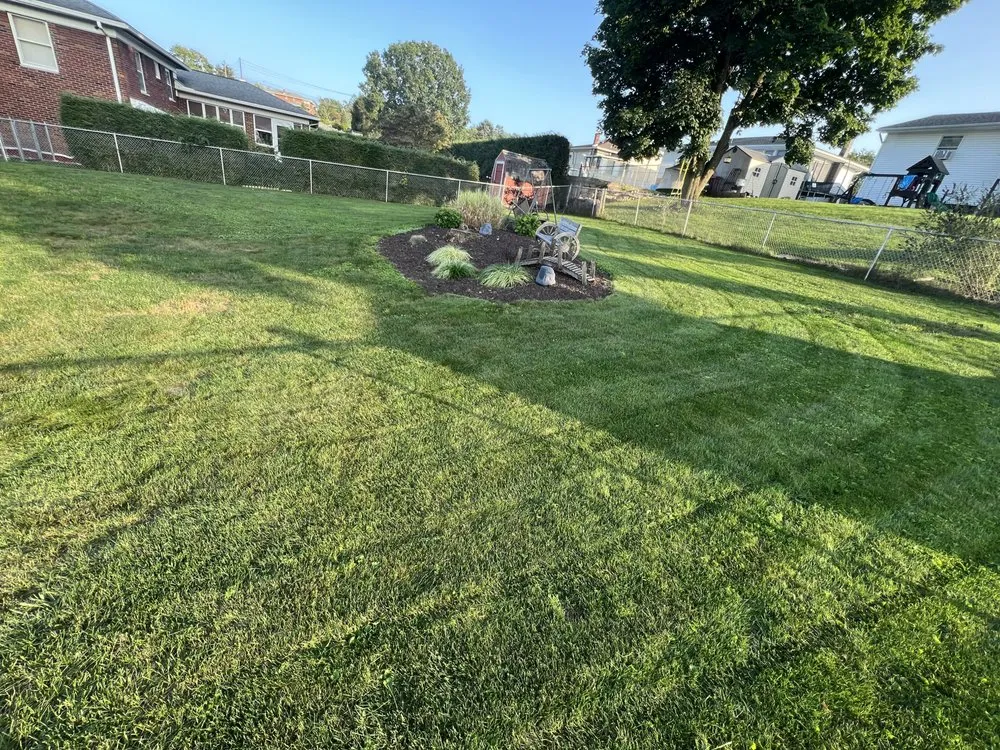Top-rated yard cleanup service in Harding, PA by B’s Services