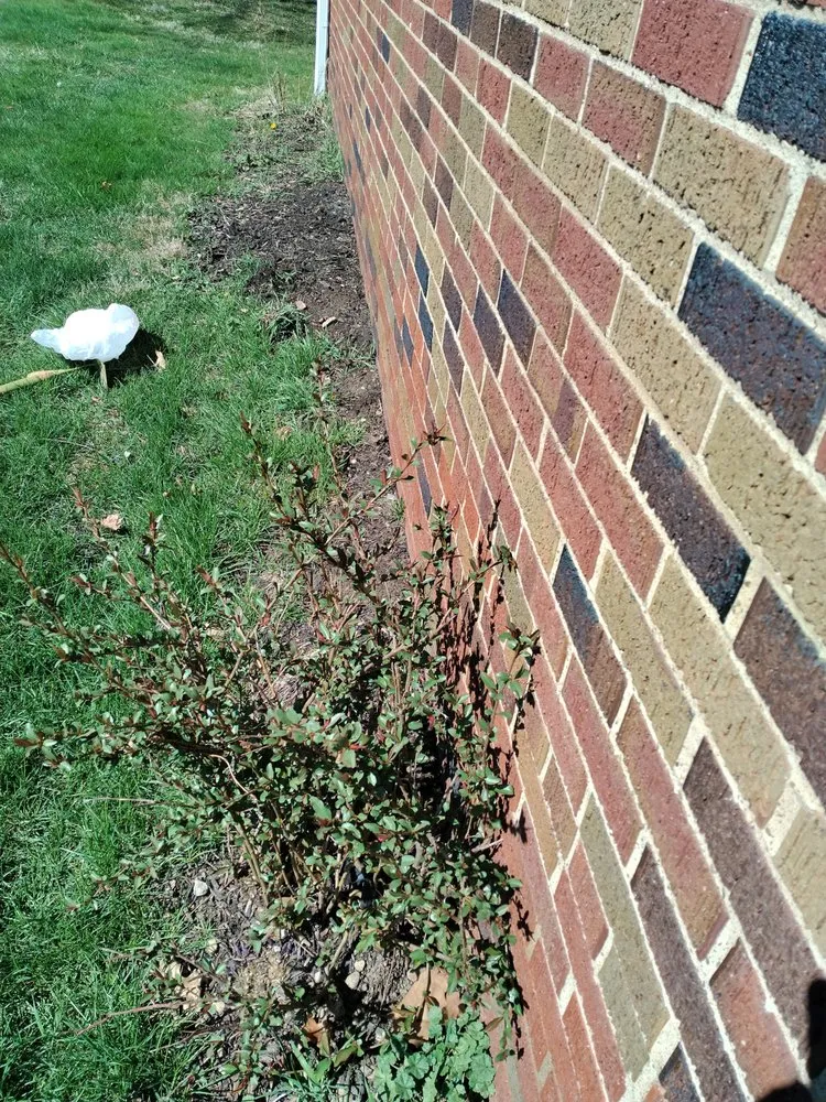 Affordable residential landscaping near you across Cuyahoga Falls, OH - B's Small Engine Repairs Landscaping & Light Power Washing