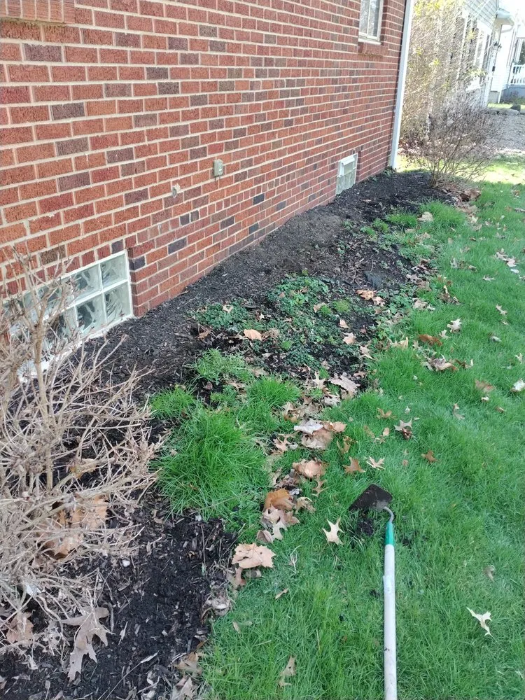 Reliable yard cleanup service near you across Cuyahoga Falls, OH - B's Small Engine Repairs Landscaping & Light Power Washing