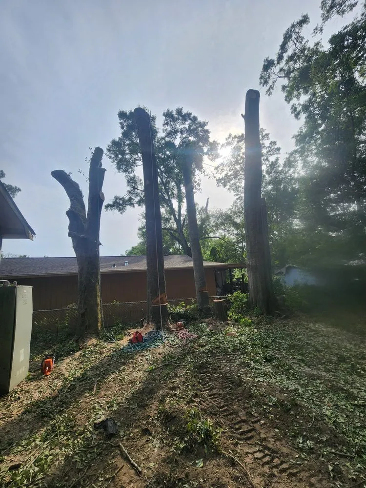 Reliable outdoor landscaping in Semmes, AL - B's Tree Service