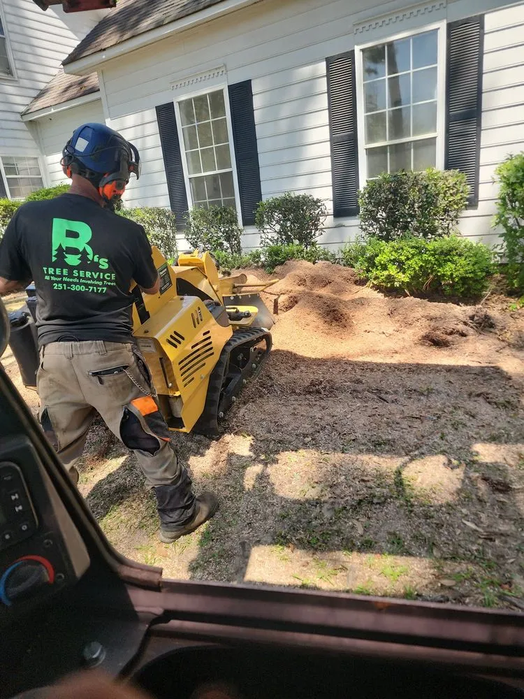 Professional yard maintenance experts serving Semmes, AL - B's Tree Service