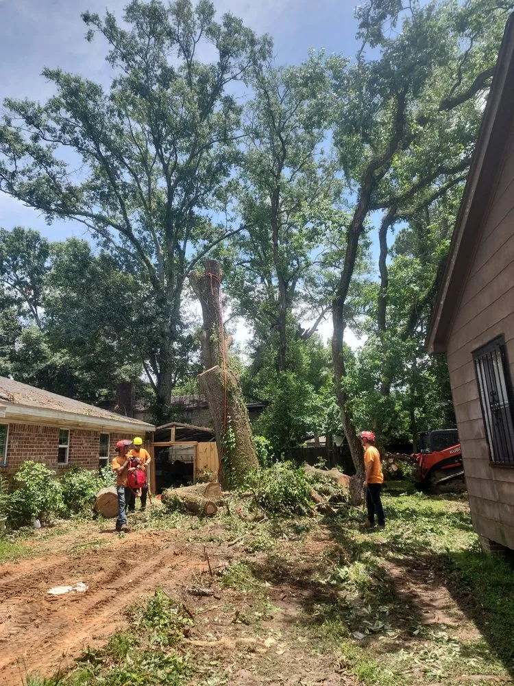 Reliable residential landscaping in Semmes, AL by B's Tree Service