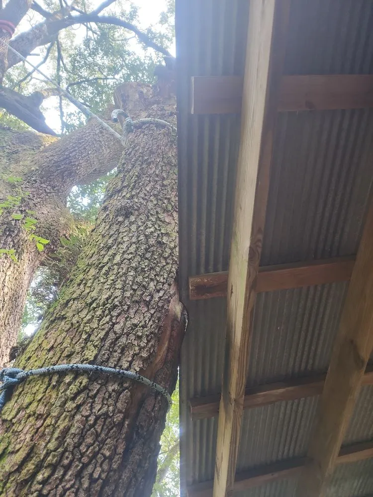 Expert garden landscaping in Semmes, AL by B's Tree Service