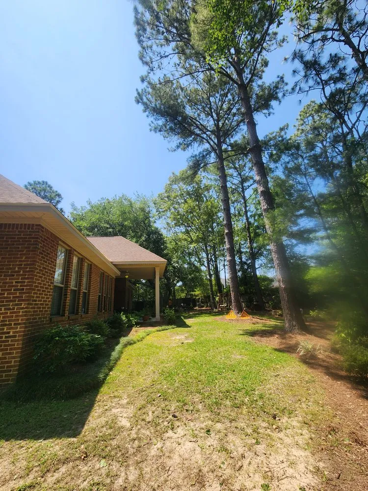 Professional outdoor landscaping for residential properties in Semmes, AL by B's Tree Service