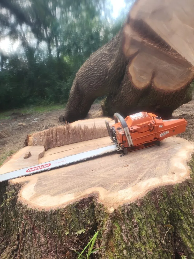 Trusted landscape installation in Semmes, AL - B's Tree Service