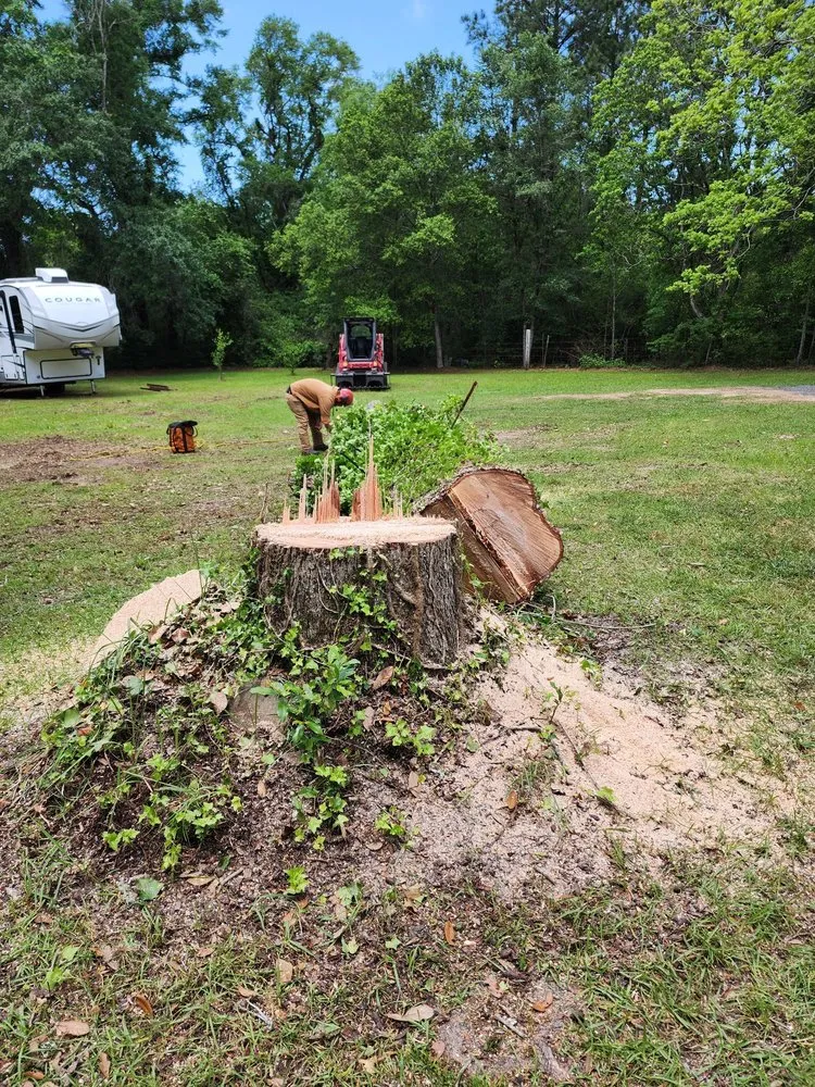 Professional yard cleanup service for residential properties in Semmes, AL by B's Tree Service