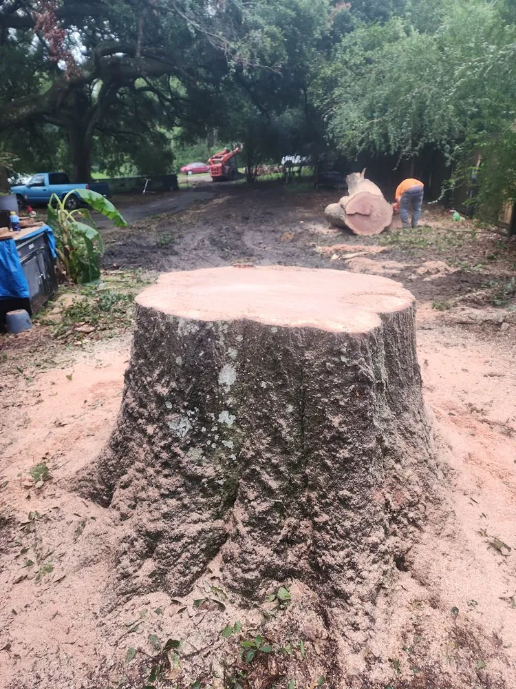 Professional yard maintenance in Semmes, AL - B's Tree Service