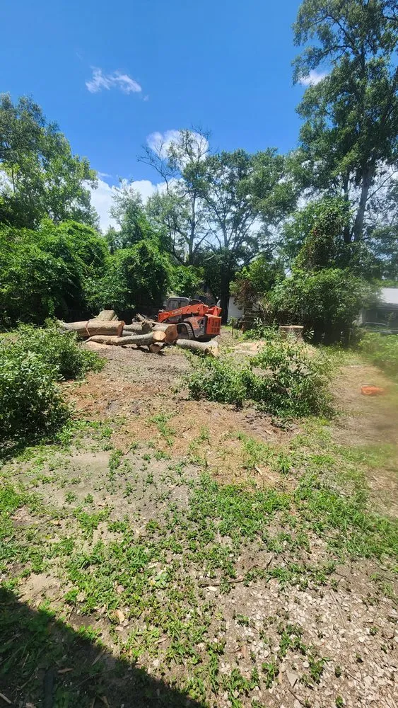 Professional outdoor landscaping experts serving Semmes, AL - B's Tree Service