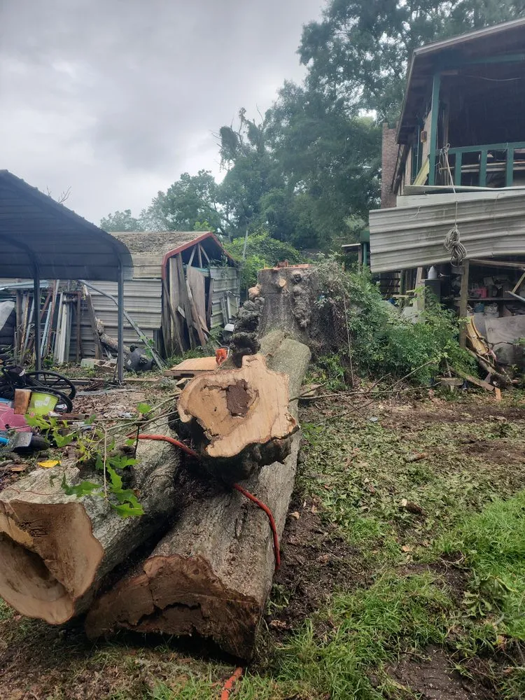 Top-rated landscaping services for residential properties across Semmes, AL - B's Tree Service