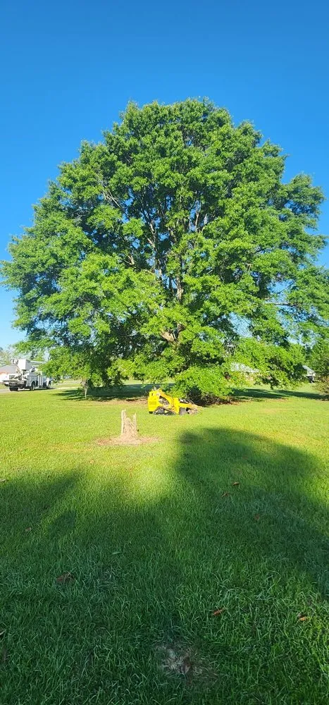 Professional landscape design for outdoor upgrades across Semmes, AL - B's Tree Service