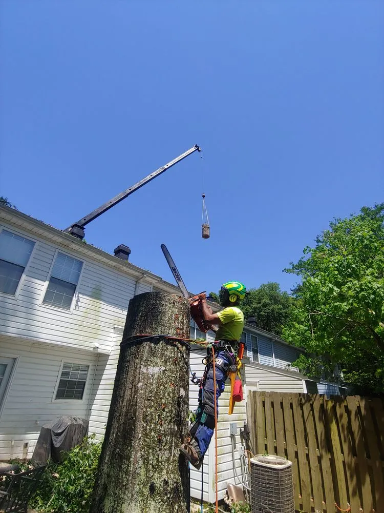 Top-rated residential landscaping experts serving Semmes, AL - B's Tree Service