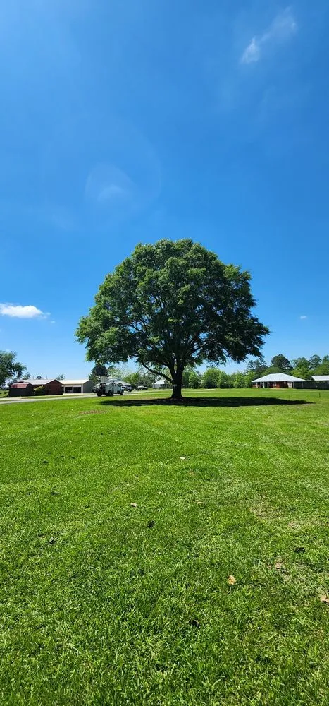 Reliable residential landscaping with custom design in Semmes, AL by B's Tree Service