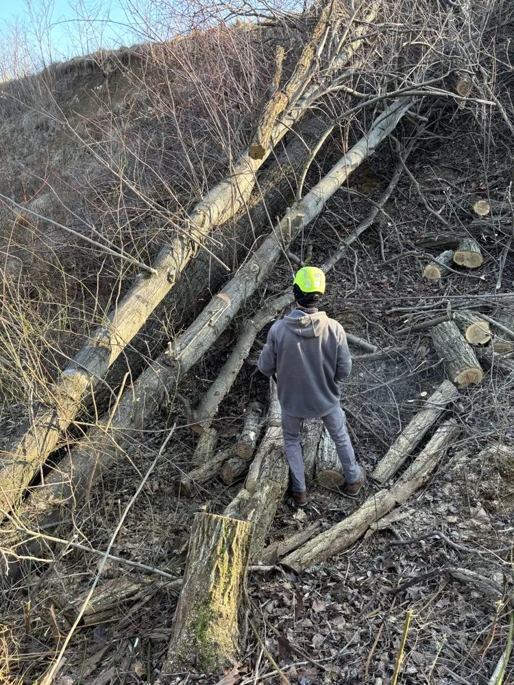 Professional landscape installation in Philo, OH - B’s Trees