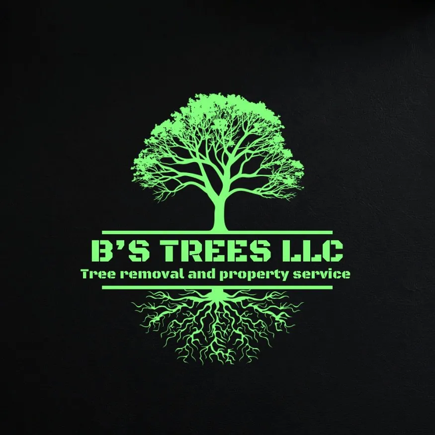 Trusted lawn care service in Philo, OH - B’s Trees