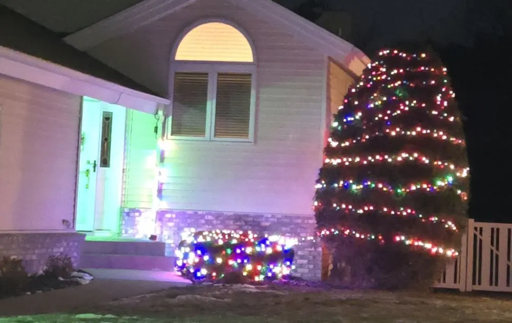 Reliable garden landscaping in Brooklyn Center, MN by Bs1Stop