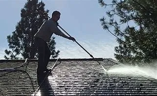 Expert yard maintenance in Cincinnati, OH - Bsavvy Landscaping and Pressure Washing