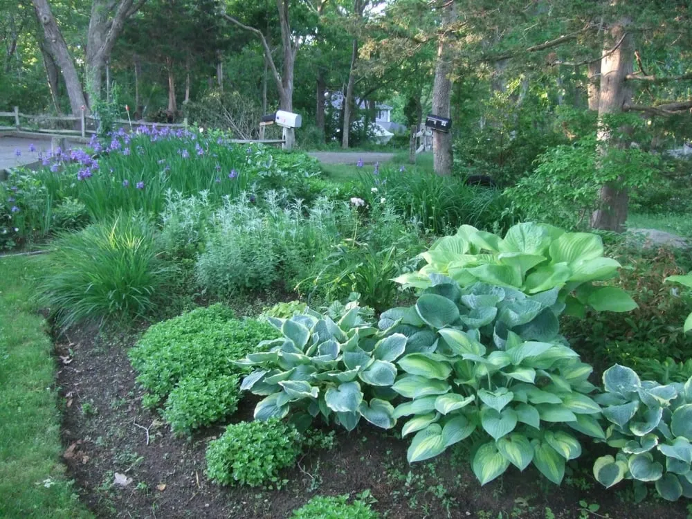 Trusted landscaping services for year-round maintenance across Scituate, MA - BSB Landscape and Garden