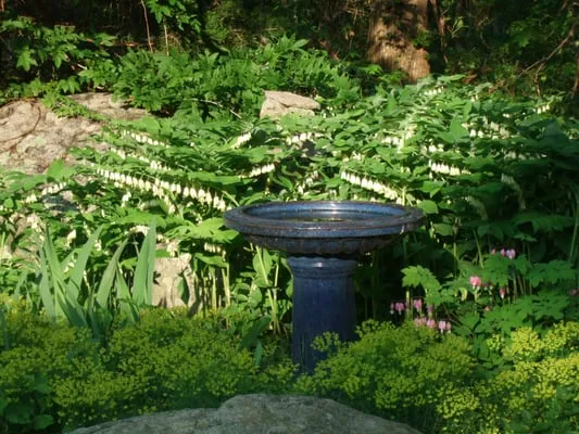 BSB Landscape and Garden