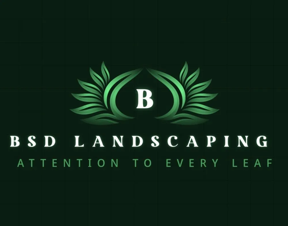 Top-rated lawn mowing service experts serving Taunton, MA - Bsd Landscaping